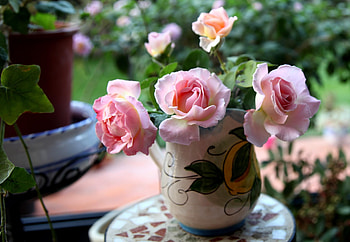 Flowers, Roses, Bouquet, Vase, Sharpness HD wallpaper