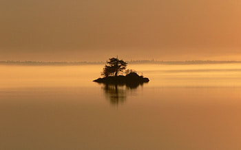 Nature, Wood, Tree, Evening, Island, Loneliness, Shrubs, Islet HD wallpaper