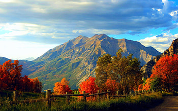 Autumn Road, leaves, fence, fall, trees, colors, mountain HD wallpaper