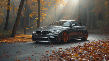 BMW M4 : Autumn Drive Elegance, BMW M4 HD wallpaper