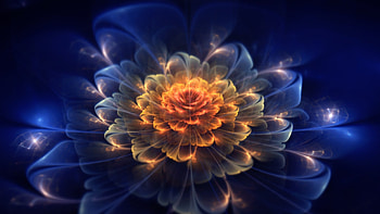 ... Background Full . fractal, flower, light, dark HD wallpaper