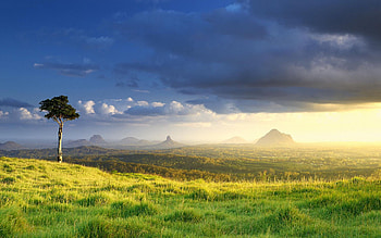 One Tree Hill, Queensland Australia, landscape, mist, clouds, sky HD wallpaper