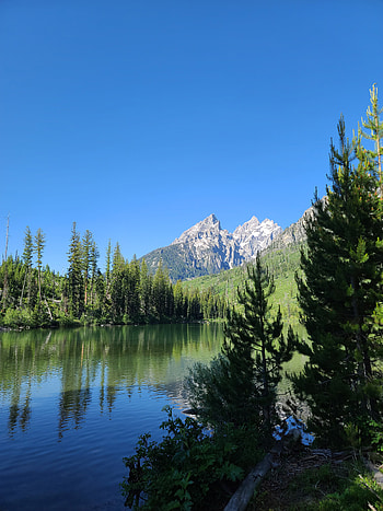 Landscape, Nature, Trees, Mountain, Lake HD phone wallpaper