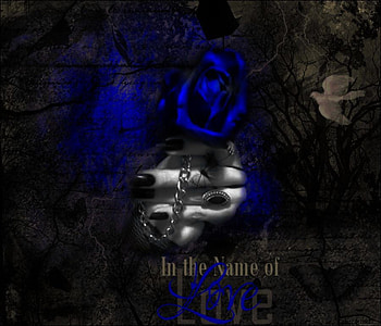 In the Name of Love, blue, name, rose, letter, abstract, dove, love HD wallpaper