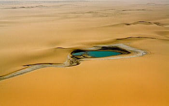 Oasis, desert, nature, amazing, land HD wallpaper
