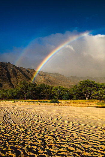 Nature, Trees, Beach, Sand, Rainbow, Mountain HD phone wallpaper