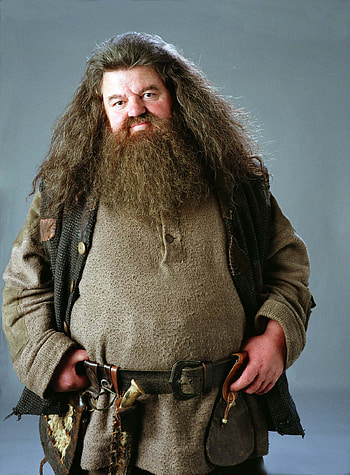 Hagrid, Hogwarts groundskeeper, Enchanted umbrella, Caring protector HD phone wallpaper