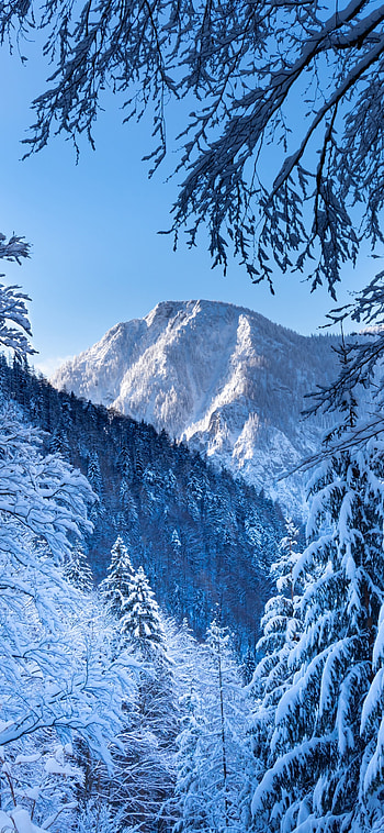 mountain, alps, nature, winter HD phone wallpaper