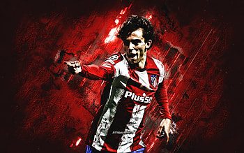 João Félix, felix, soccer, joao, joaofelix, atletico, football HD wallpaper