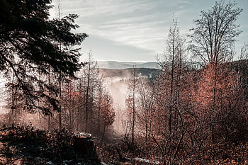 Nature, Trees, Mountains, Autumn, View From Above, Fog, Overview, Review HD wallpaper
