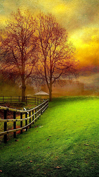 Elegant For Android Mobile Full Screen, Elegant Nature HD phone wallpaper