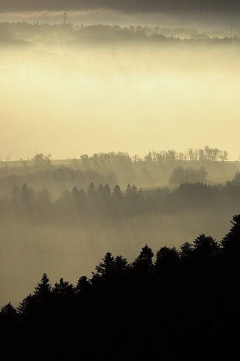 Nature, Trees, Twilight, Fog, Dusk, Hills HD phone wallpaper