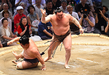Kakuryo Rikisaburo vs Hakuho Sho, Sumo HD wallpaper