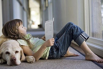 lovely friend, graphy, childs, dogs, cool, cute, people HD wallpaper