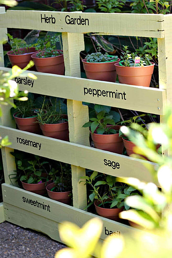 Creative herb garden, Indoors and outdoors, , Herb plants HD phone wallpaper