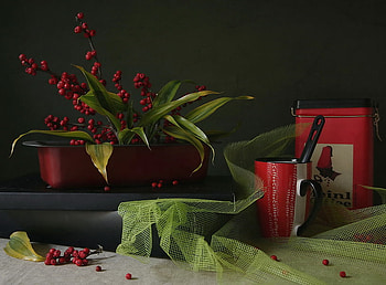 Simple Things, stem, boxes, berries, cup, cannister, still life, mesh, leaves, green, pans HD wallpaper
