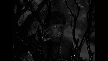 Review: Universal Classic Monsters Essential Collection (US - BD . HD wallpaper