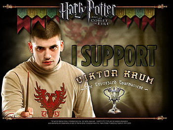 Viktor Krum And The Triwizard Cup, 65, cedfew, ge, eryg, tg, 65uj, 5reyh HD wallpaper