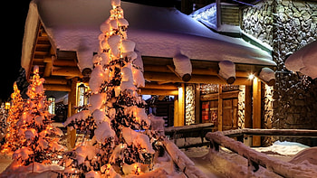 Heavy Snow On Christmas Trees, Heavy, Christmas, Snow, Trees, On HD wallpaper