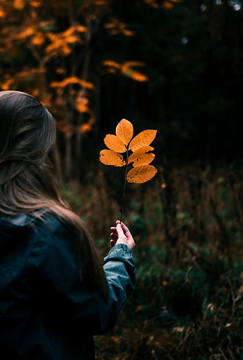 Leaves, Hand, Miscellanea, Miscellaneous, Branch, Girl, Focus HD phone wallpaper