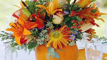 Pumpkin Tag - Leaves Thanksgiving Lillies Seasonal Orange Glass Autumn Roses Harvest Sunflowers Wineglass Pumpkin Blooms HD wallpaper