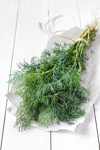 Growing and harvesting dill, Kitchen versatility, Herb's numerous uses, Culinary companion HD phone wallpaper