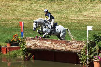 3-day eventing, Equine insurance, Kay Cassell, Equestrian sports HD wallpaper