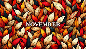 Colorful Autumn Leaves November, november, leaf, Autumn, foliage, seasonal HD wallpaper