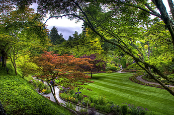 Nature, Trees, Stripes, Streaks, Garden, Lawn, Track, Above, From Above HD wallpaper