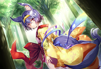 Fox Girl, cute, girl, anime, fox HD wallpaper