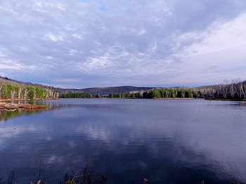Kamaniskeg Lake, graphy, Trees, Lake, Nature, Shadows, Clouds, Sky HD wallpaper