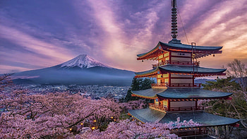 Japanese , Top backgrounds, Mesmerizing visuals, Captivating beauty HD wallpaper