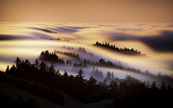 Marin County Mist Morning , mist, morning, nature HD wallpaper