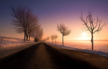 Sunset, road, path, tree HD wallpaper