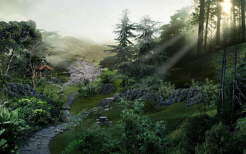Nature, Sun, Shine, Light, Rays, Beams, Garden, Steps, From Above, Above HD wallpaper