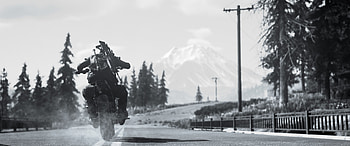 Days Gone: Stunning Black & White Ultra, video game, Days Gone, video game scenery, Black & White HD wallpaper