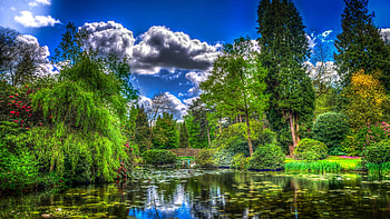 Tatton Park, Cheshire, England, water, reflections, clouds, landscape, trees, sky HD wallpaper