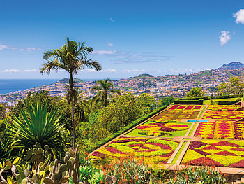 Madeira, Air travel, Vacation destination, Tourist information HD wallpaper