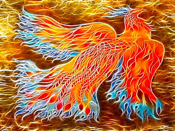Bird, blue, orange, red, yellow HD wallpaper