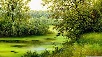 green river, river, grass, water, tree HD wallpaper