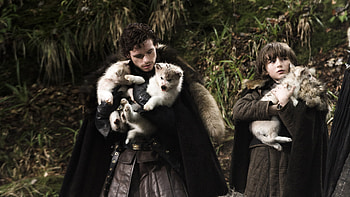 Game Of Thrones, Robb Stark, Bran Stark, Tv Show, Isaac Hempstead Wright, Richard Madden HD wallpaper