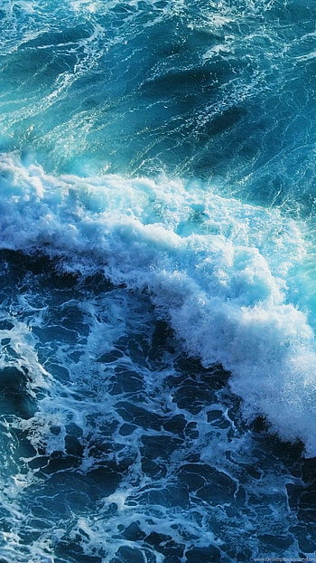 Live, Sea Background HD phone wallpaper