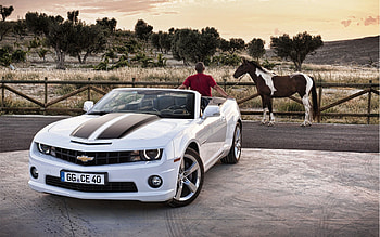 Lovely graphy, horse, lovely, car, nice HD wallpaper