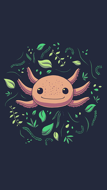 Axolotl, art, organism HD phone wallpaper