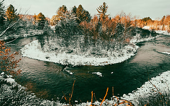 Winter light in Northern Michigan, trees, river, sky, snow, usa HD wallpaper