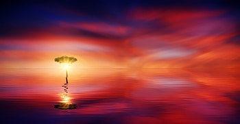 Sunset Ocean Tree Sun Light, sunset, ocean, tree, sun, nature HD wallpaper