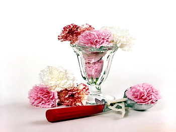 carnation ice-cream, carnations, flowers, blooms, ice-cream HD wallpaper
