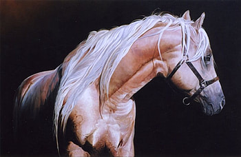 Palomino Andalusian, spanish, andalusian, horses, palomino HD wallpaper