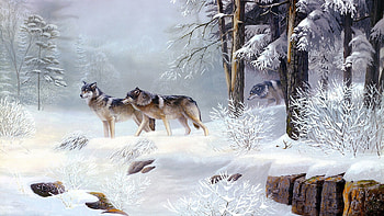 pics stunning wolfs 3d animated polar snow ice winter animals quality background HD wallpaper