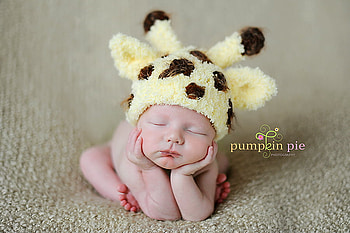 Pumpkin Pie, baby, pie, cute, love HD wallpaper